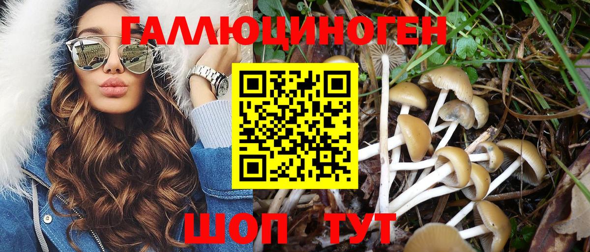 Краснокаменск  Галлюциногенные грибы мицелий  Вход с VPN  купить наркотики цена  Псилоцибиновые грибы Psilocybine cubensis 